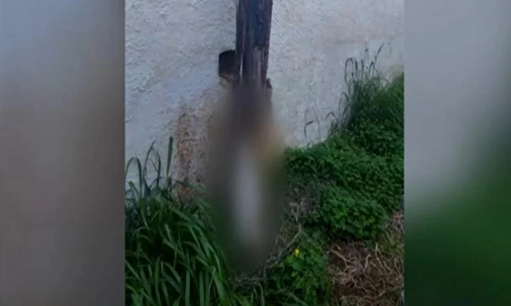 Κτηνωδία στη Σαλαμίνα: Κρέμασαν σκύλο σε κολώνα (σκληρές εικόνες)